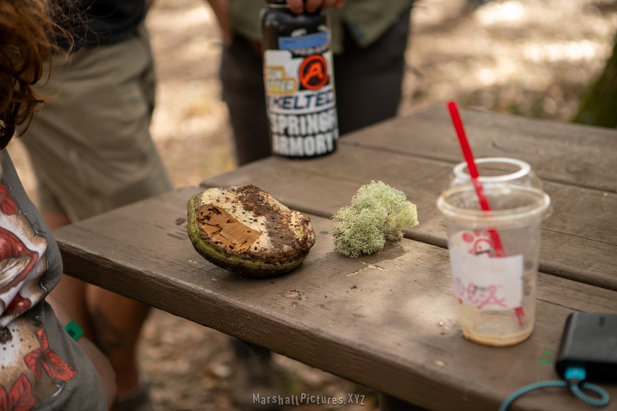 20240126 florida bushcraft meet up 2024 0062